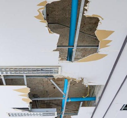 Understanding the Water Damage Restoration Process: What to Expect